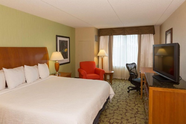 Hilton Garden Inn Buffalo Airport image 7