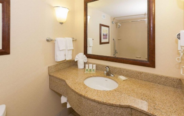 Hilton Garden Inn Buffalo Airport image 9